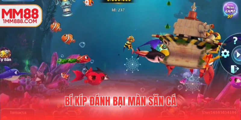 Bí kíp đánh bại màn săn cá